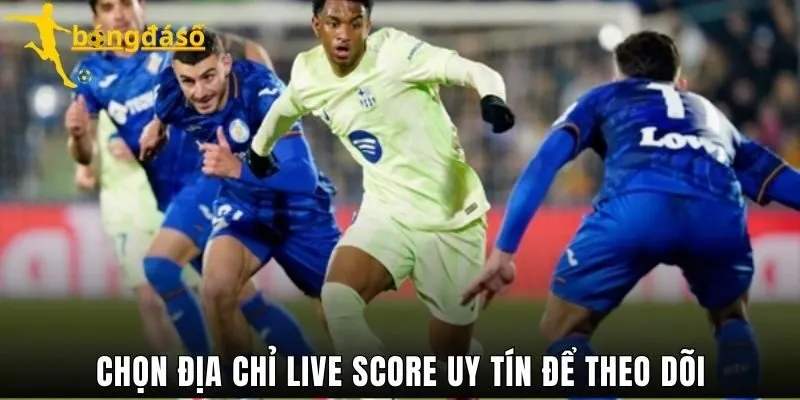 Chọn địa chỉ Livescore uy tín để theo dõi