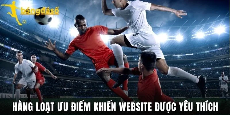 Hàng loạt ưu điểm khiến website được yêu thích