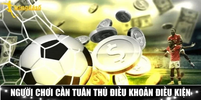 Người chơi cần tuân thủ điều khoản điều kiện